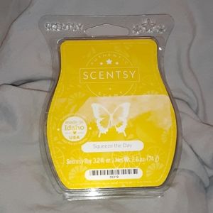 Squeeze the Day Scentsy wax bar